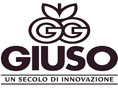 giusso